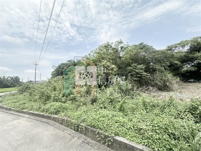 【豐禾】青埔都內農小坪數開心農場房屋室內格局與周邊環境