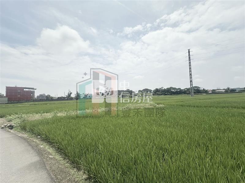 【豐禾】青埔都內農小坪數開心農場房屋室內格局與周邊環境