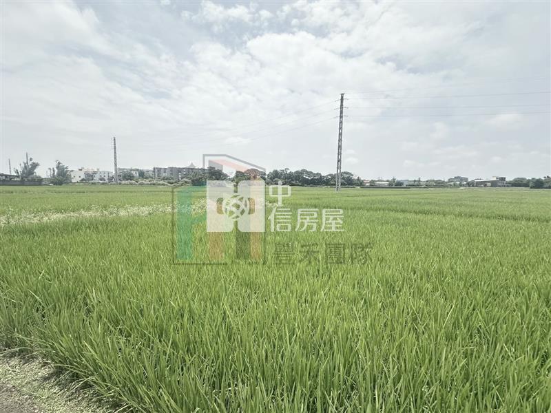 【豐禾】青埔都內農小坪數開心農場房屋室內格局與周邊環境