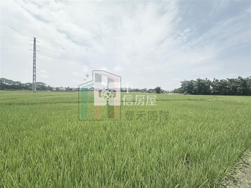 【豐禾】青埔都內農小坪數開心農場房屋室內格局與周邊環境
