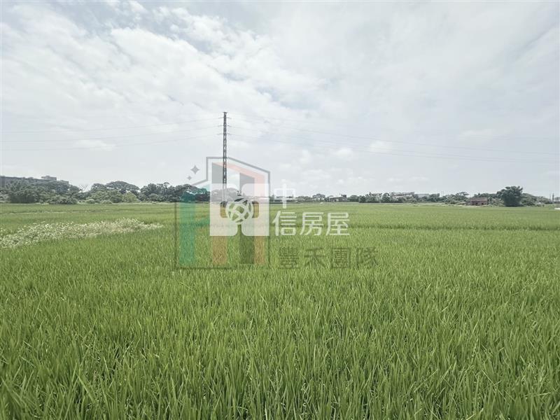 【豐禾】青埔都內農小坪數開心農場房屋室內格局與周邊環境