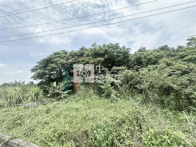 【豐禾】青埔都內農小坪數開心農場房屋室內格局與周邊環境