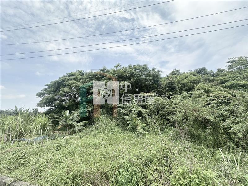 【豐禾】青埔都內農小坪數開心農場房屋室內格局與周邊環境