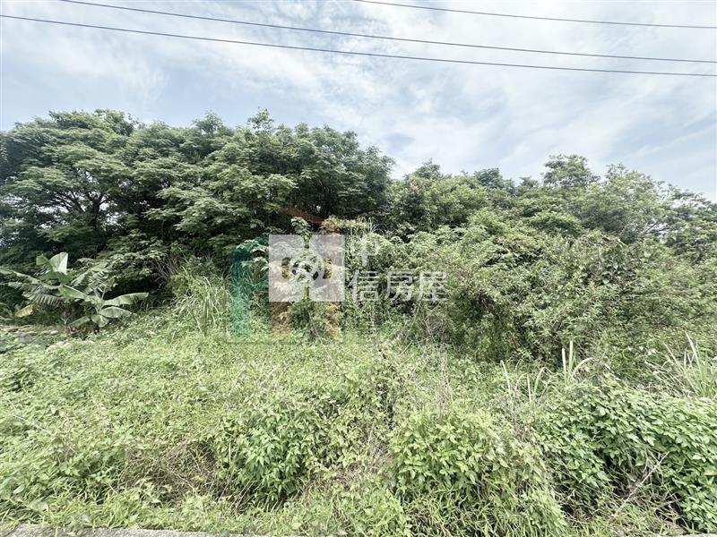 【豐禾】青埔都內農小坪數開心農場房屋室內格局與周邊環境