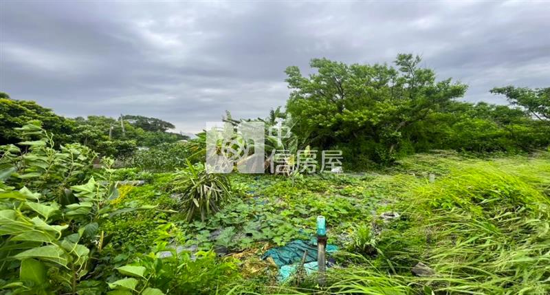 新屋稀有甲建房屋室內格局與周邊環境