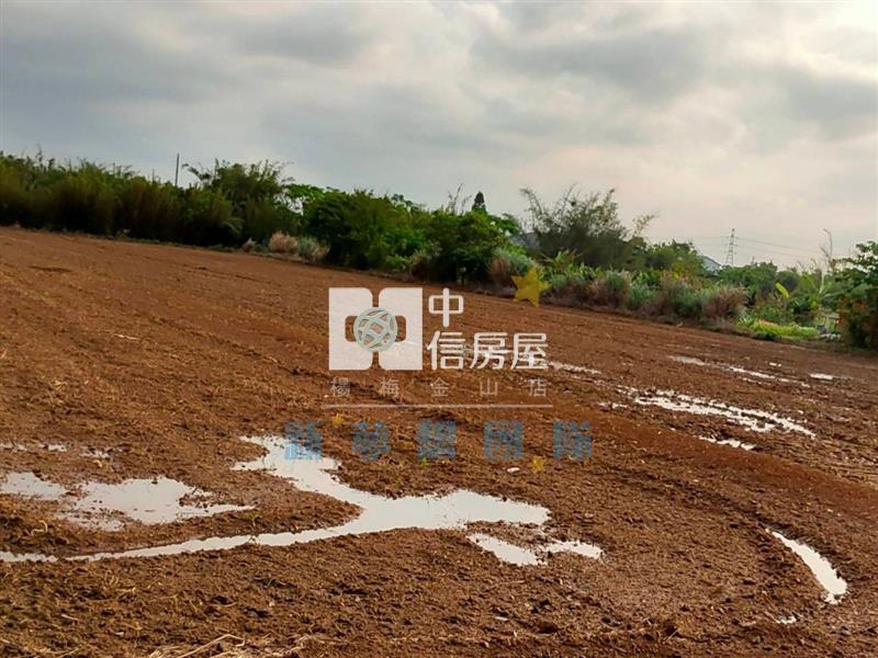 【新夢想】新屋10米路全新資材室美農地房屋室內格局與周邊環境