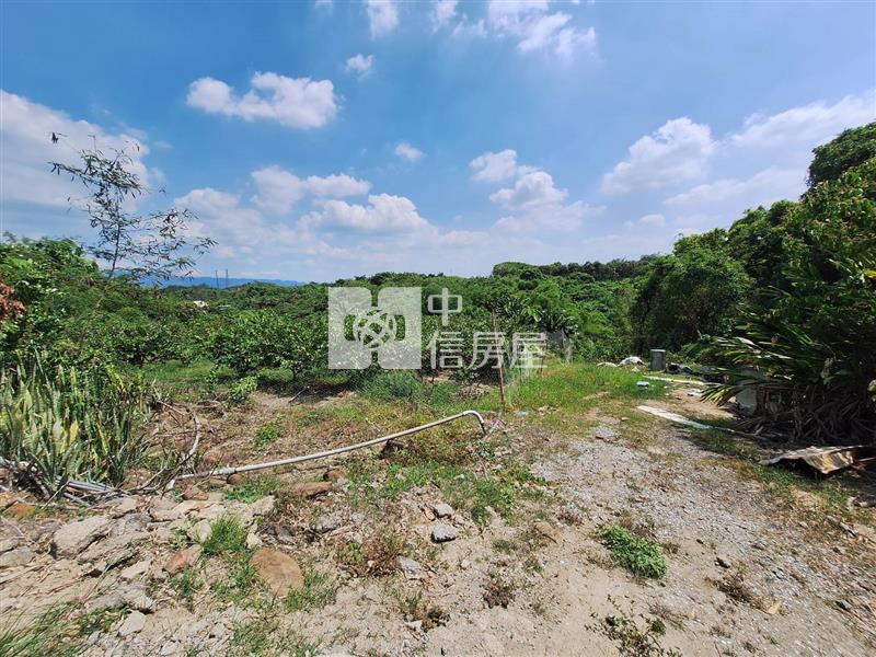 玉井芒子芒千坪丙種建地房屋室內格局與周邊環境