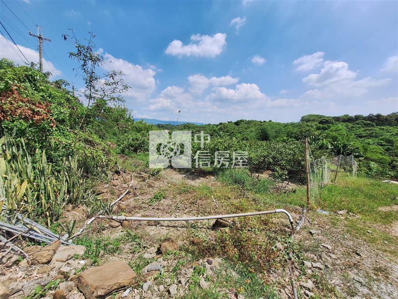 玉井芒子芒千坪丙種建地房屋室內格局與周邊環境