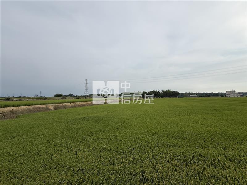 民雄東湖段農地房屋室內格局與周邊環境