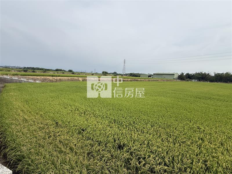 民雄東湖段農地房屋室內格局與周邊環境