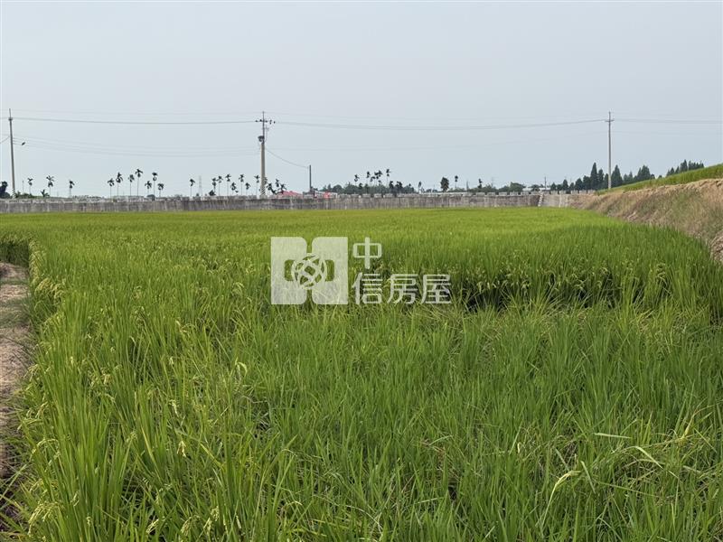 民雄東湖段農地房屋室內格局與周邊環境