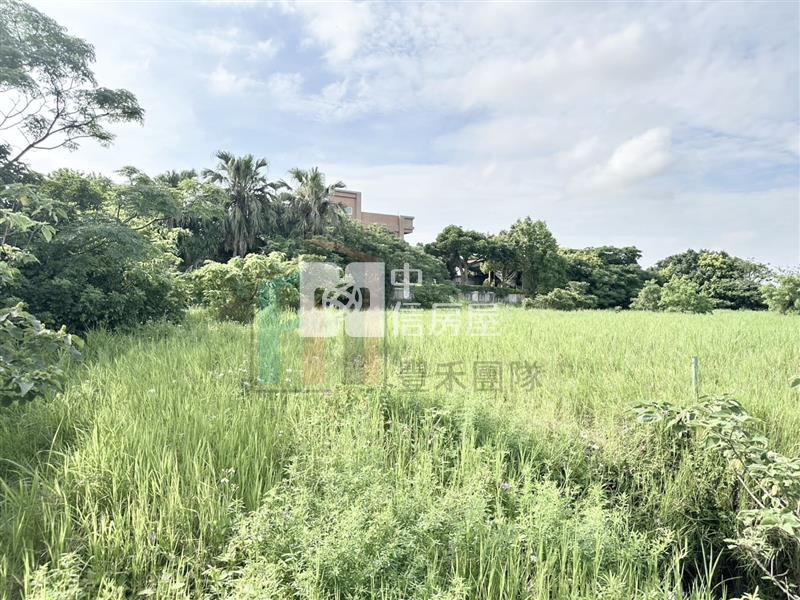 【豐禾】觀音藍埔農地(附合法鋼構農舍)房屋室內格局與周邊環境