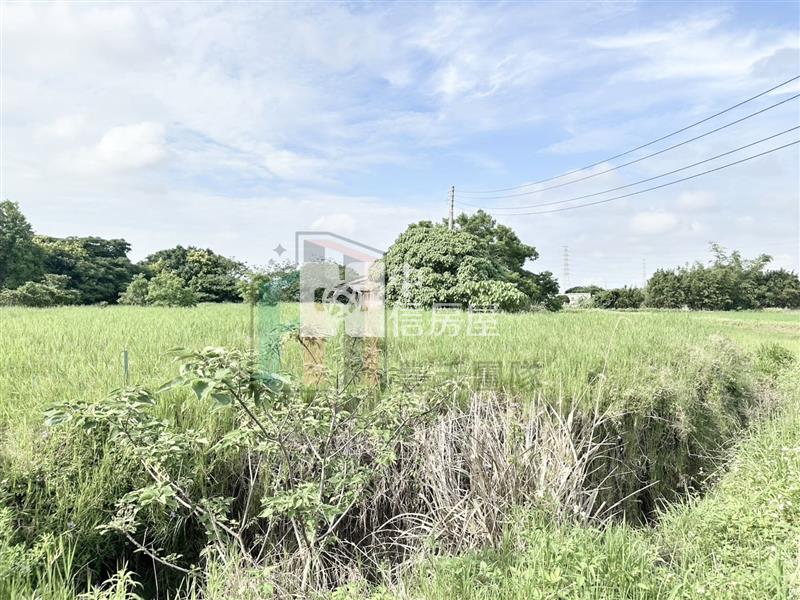 【豐禾】觀音藍埔農地(附合法鋼構農舍)房屋室內格局與周邊環境