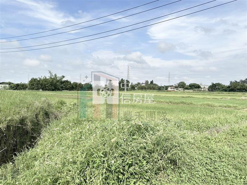 【豐禾】觀音藍埔農地(附合法鋼構農舍)房屋室內格局與周邊環境