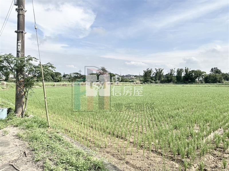 【豐禾】觀音藍埔農地(附合法鋼構農舍)房屋室內格局與周邊環境