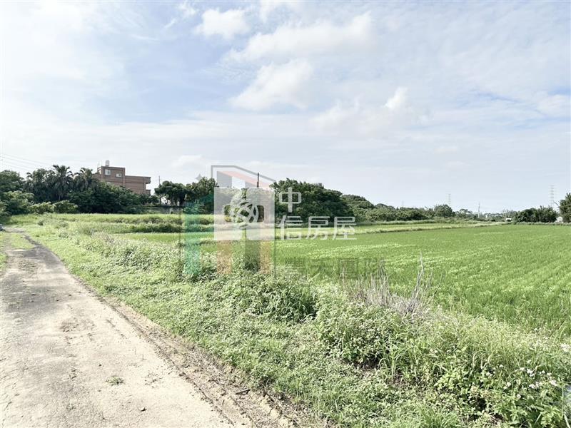 【豐禾】觀音藍埔農地(附合法鋼構農舍)房屋室內格局與周邊環境