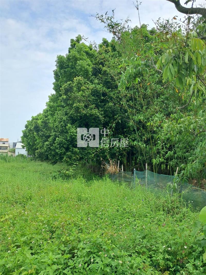 大學路旁都計農地房屋室內格局與周邊環境