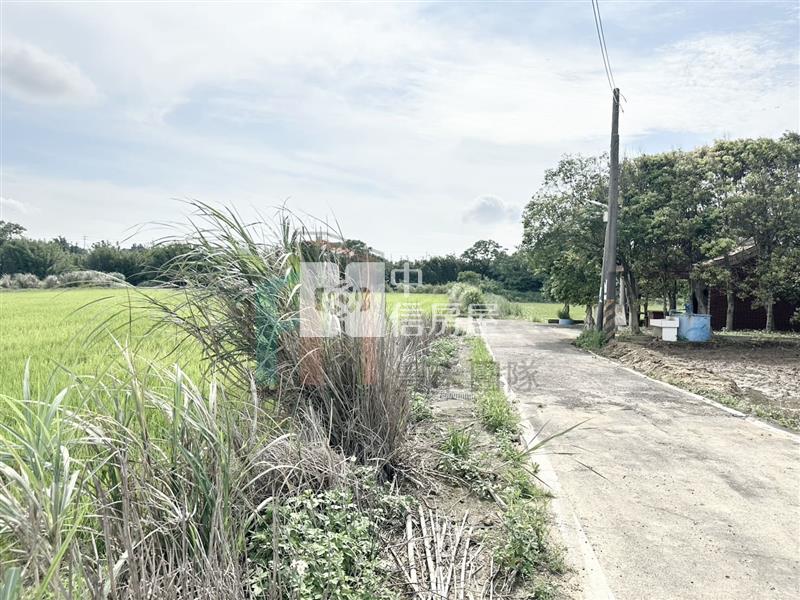 【豐禾】觀音育仁段低價方正農地房屋室內格局與周邊環境