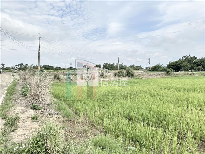 【豐禾】觀音育仁段低價方正農地房屋室內格局與周邊環境