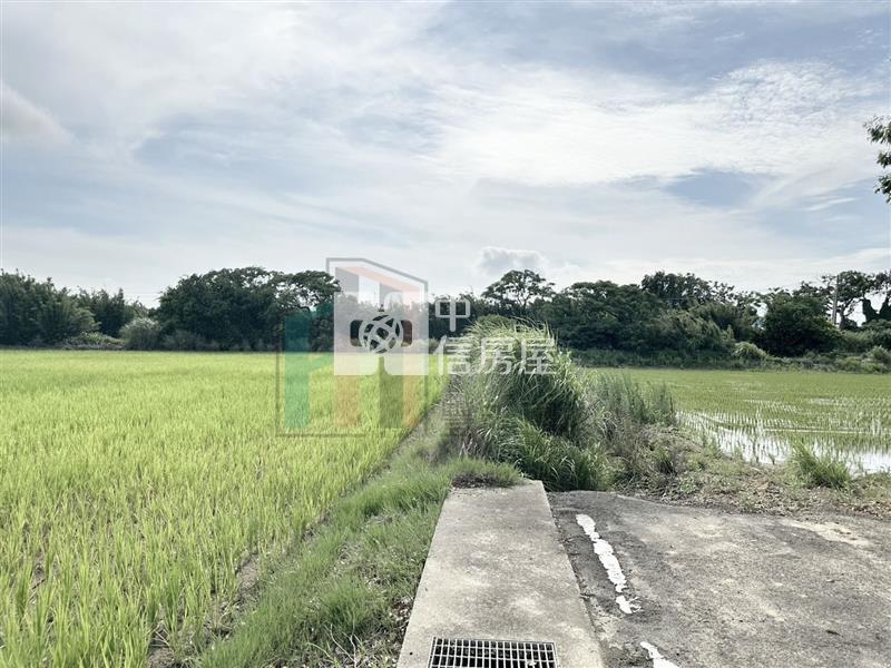 【豐禾】觀音育仁段低價方正農地房屋室內格局與周邊環境