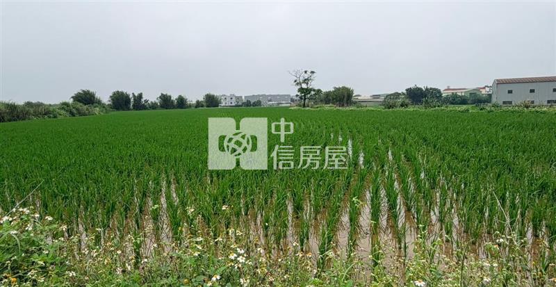 九斗村投資田|近66道路房屋室內格局與周邊環境