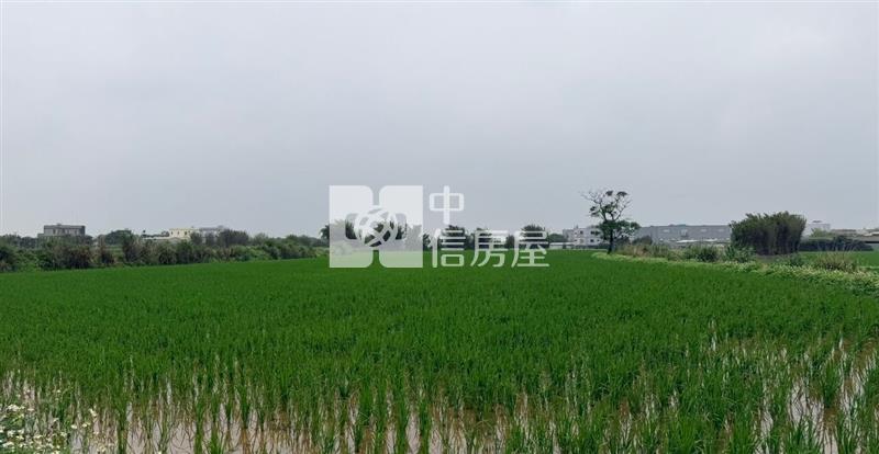 九斗村投資田|近66道路房屋室內格局與周邊環境