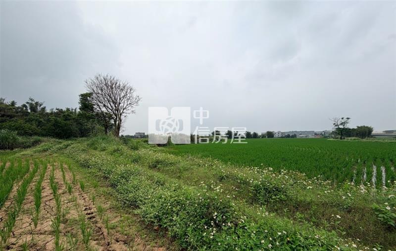 九斗村投資田|近66道路房屋室內格局與周邊環境