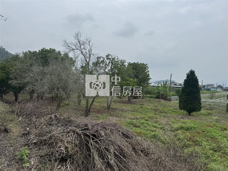 守城樹葡萄園房屋室內格局與周邊環境