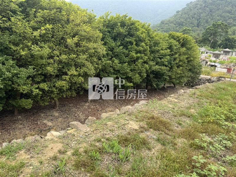 守城樹葡萄園