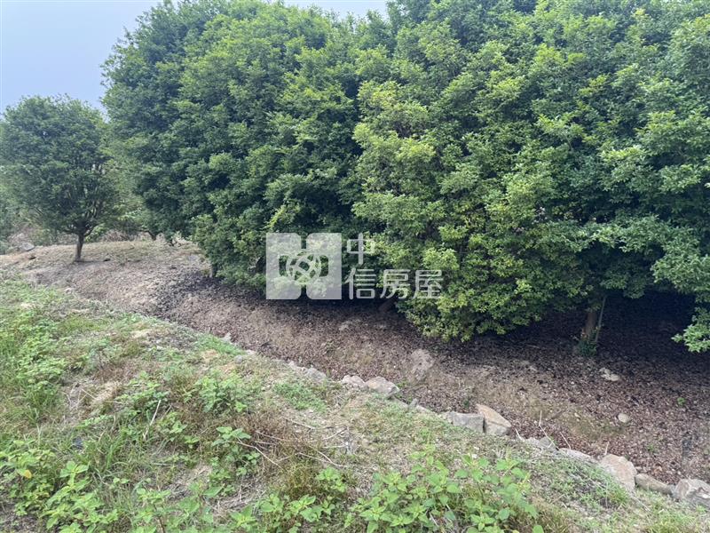 守城樹葡萄園房屋室內格局與周邊環境