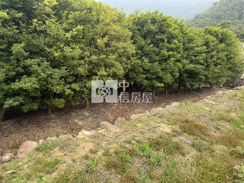守城樹葡萄園房屋室內格局與周邊環境