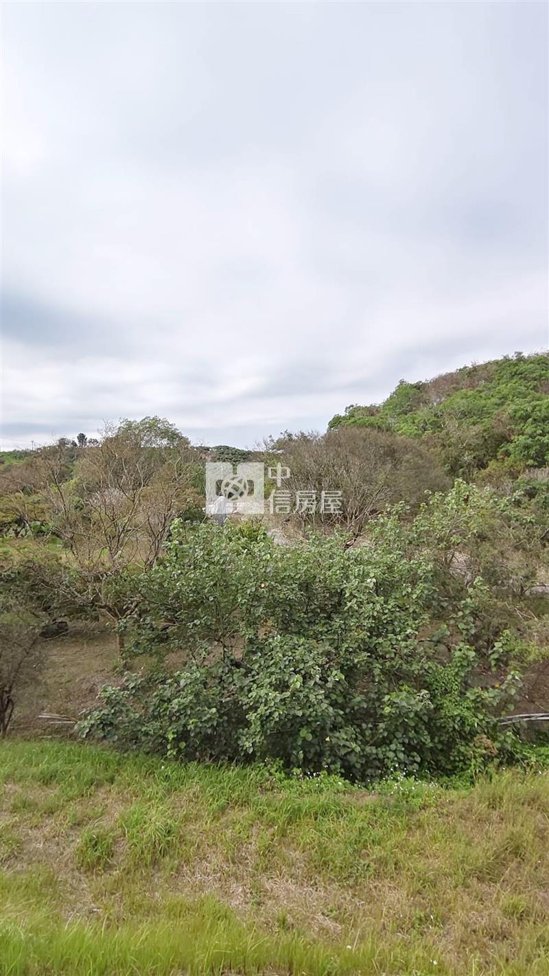 專(玉井)湖景秘境，度假森活農地房屋室內格局與周邊環境