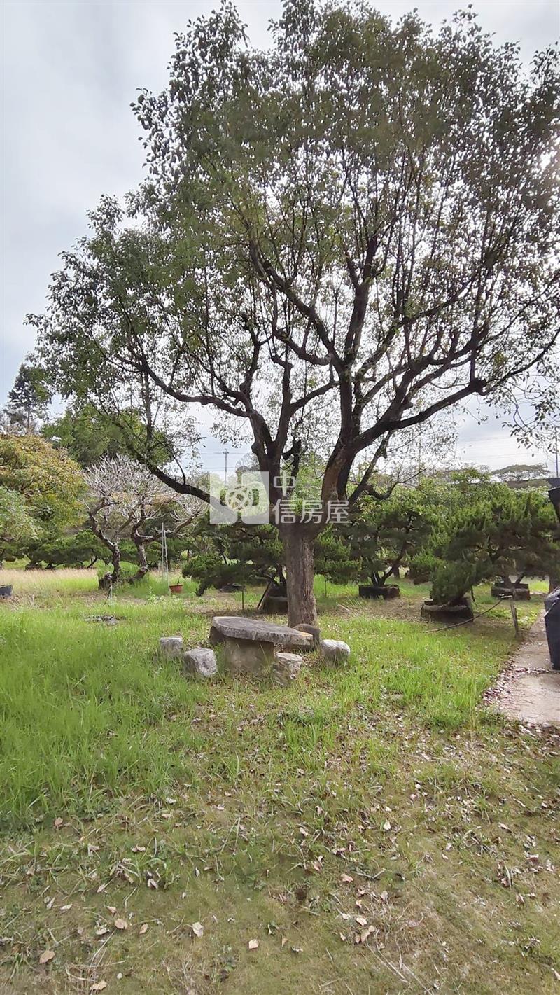 專(玉井)湖景秘境，度假森活農地房屋室內格局與周邊環境