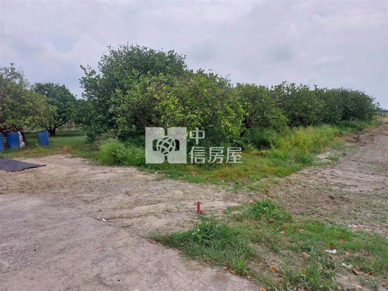 佳里後庄小而美果園農地房屋室內格局與周邊環境