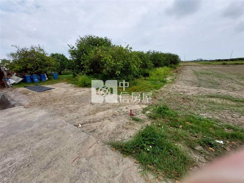 佳里後庄小而美果園農地房屋室內格局與周邊環境