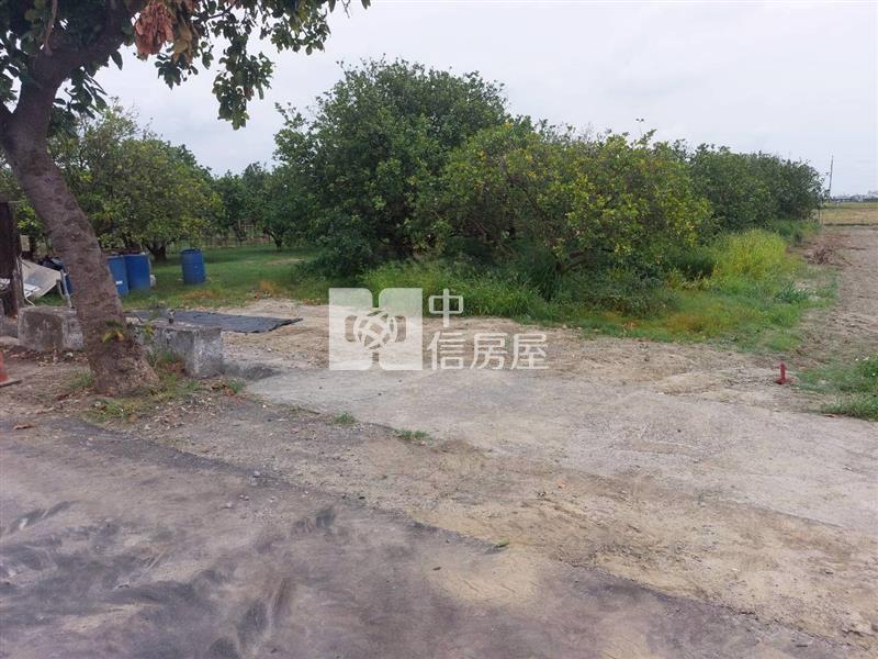佳里後庄小而美果園農地房屋室內格局與周邊環境