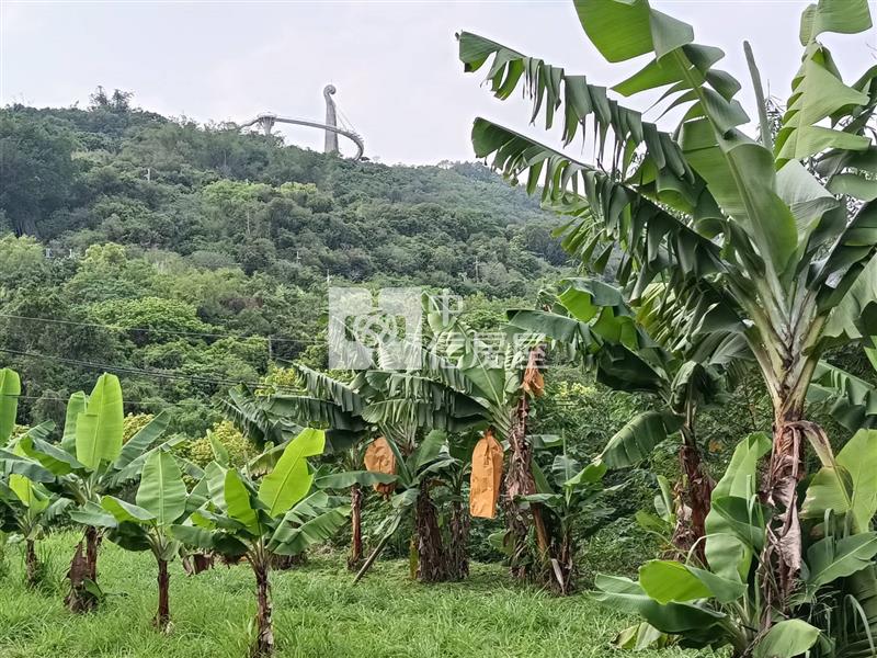 阿公店水庫旁燕巢休閒農地房屋室內格局與周邊環境