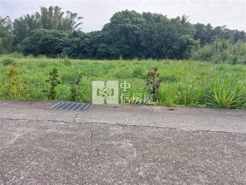 左鎮台20線近化石館6.3分農地房屋室內格局與周邊環境