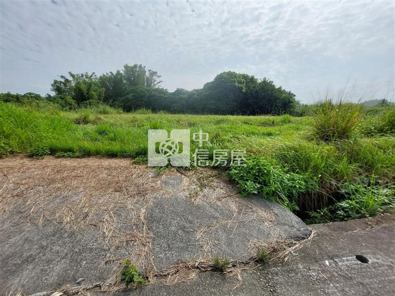 左鎮台20線近化石館3.8分農地房屋室內格局與周邊環境
