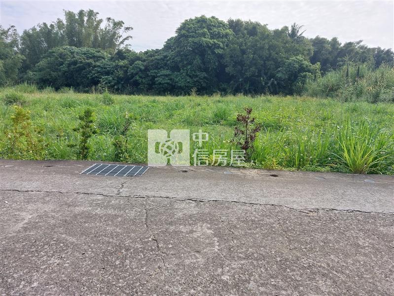 左鎮台20線近化石館3.8分農地房屋室內格局與周邊環境