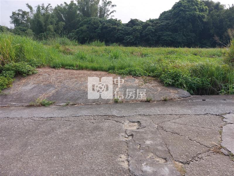 左鎮台20線近化石館3.8分農地房屋室內格局與周邊環境