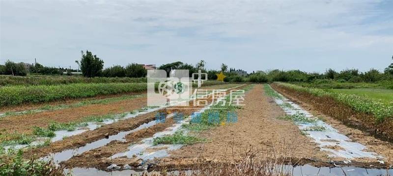 【新夢想】新屋市區農地房屋室內格局與周邊環境