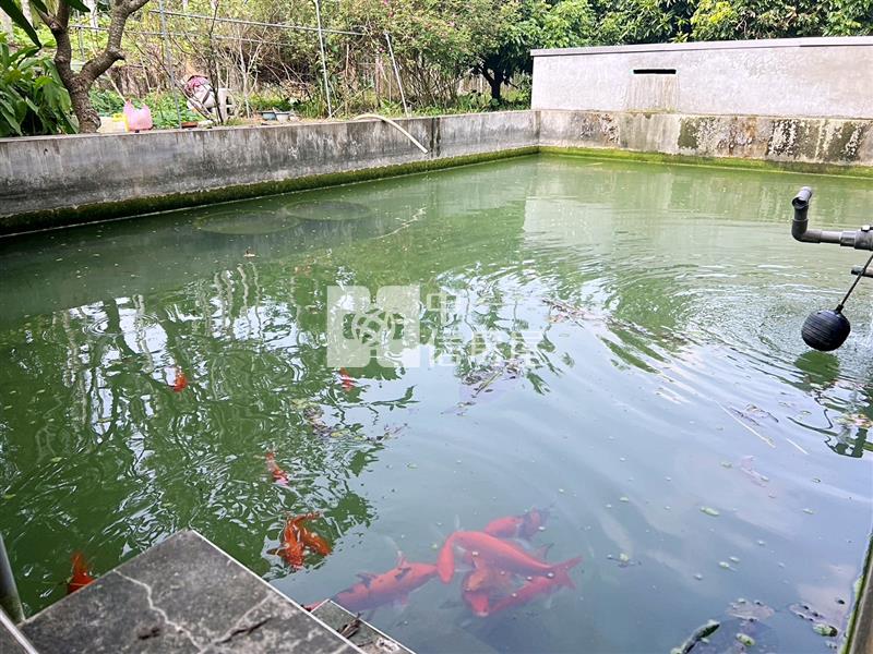 屏東農舍《竹田合法農舍》房屋室內格局與周邊環境