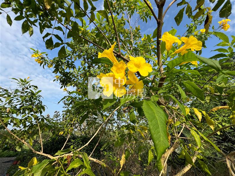 屏東農舍《客家園區合法農舍》房屋室內格局與周邊環境