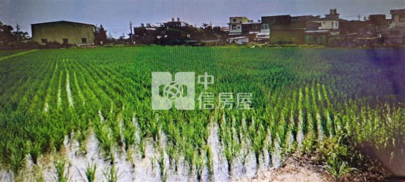 N319桃園新屋-特農地(我們也有全省各區土地)房屋室內格局與周邊環境