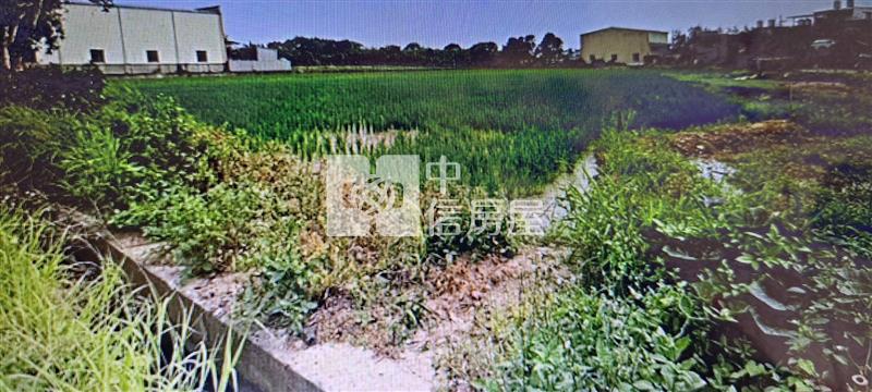 N319桃園新屋-特農地(我們也有全省各區土地)房屋室內格局與周邊環境