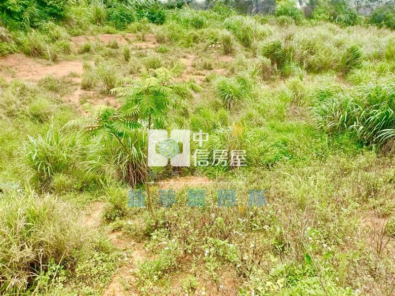 【新夢想】楊梅最高CP值幼獅交流道丁工房屋室內格局與周邊環境