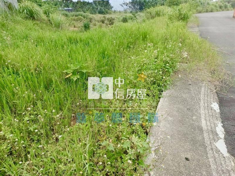 【新夢想】楊梅最高CP值幼獅交流道丁工房屋室內格局與周邊環境