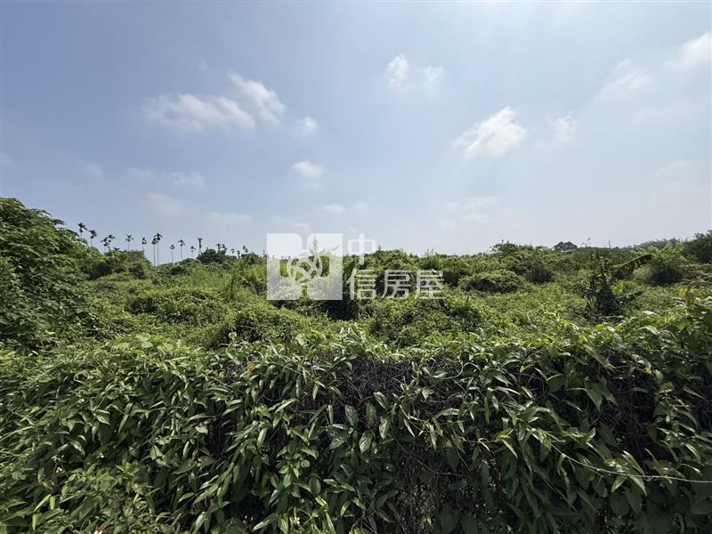 雲林斗六美農地房屋室內格局與周邊環境
