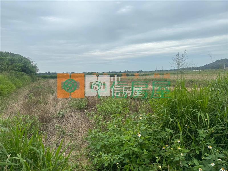 金沙鎮|光華路第一排優質農地房屋室內格局與周邊環境